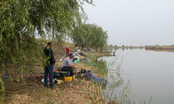 Pecasok 2016. szeptember 25. képek